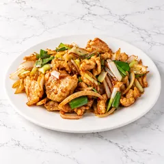 Sliced chicken stir-fried with onions and green onions